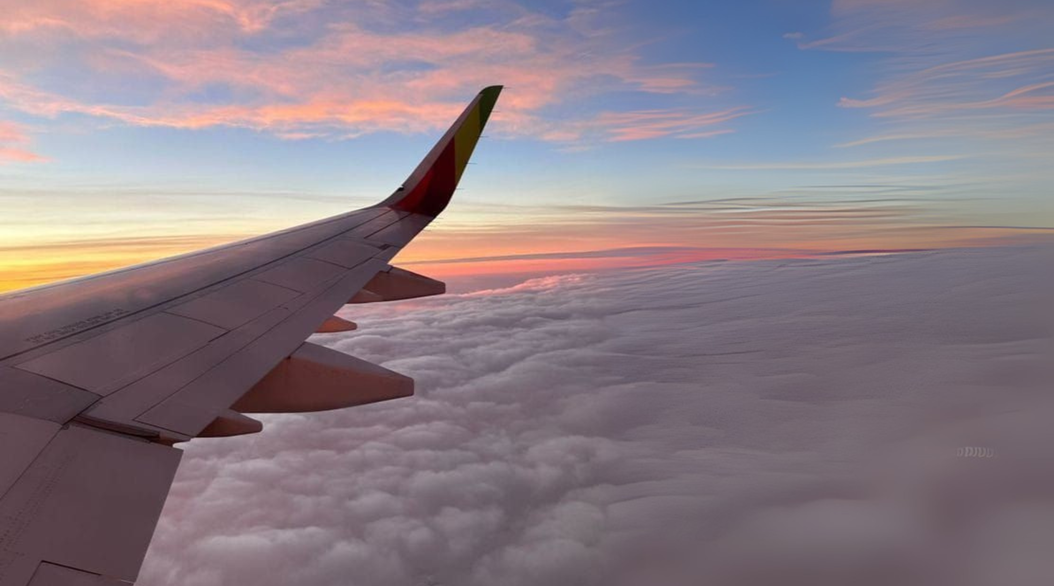 In-Flight Haircare: How to Arrive in Style